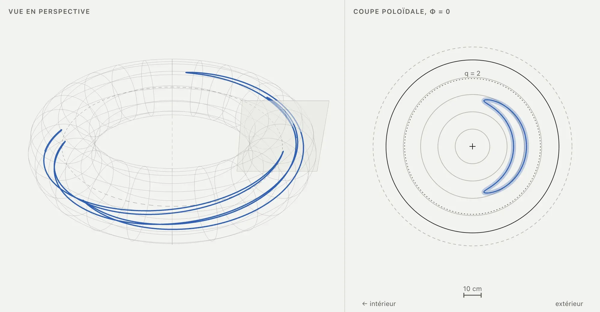 The tokamak in two views: on the left, a grey wireframe torus and the blue path of a particle going back and forth; on the right, the cut through the torus, where that path draws a blue crescent on the outer side.