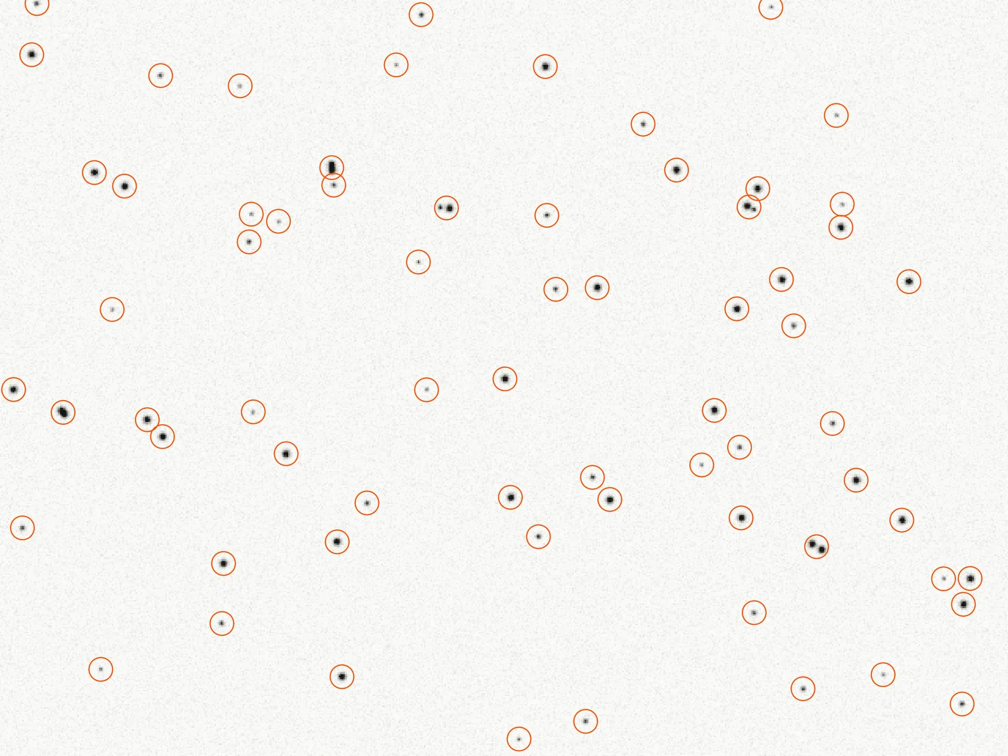 A simulated 640 × 480 pixel photo, in negative: black stars of various sizes on a light, grainy grey ground, each one circled in orange.
